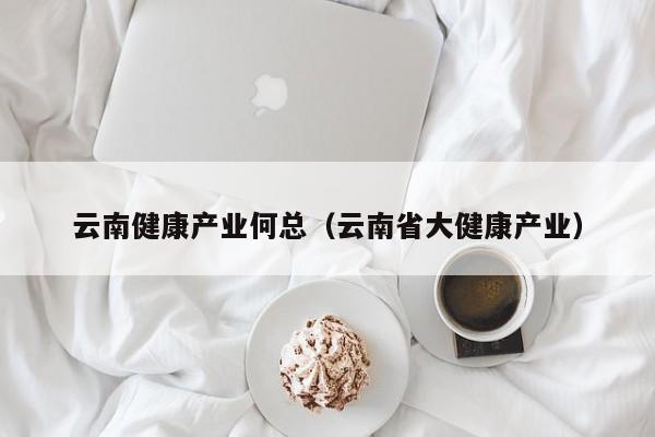 云南健康产业何总（云南省大健康产业）